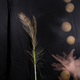 Image for article titled Shooting Challenge: Repeating Flash Gallery